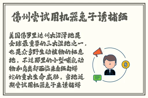 精品日产一二三四幻星辰